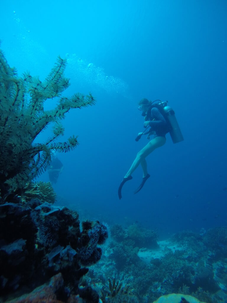 Wreck Diving in Tulamben
