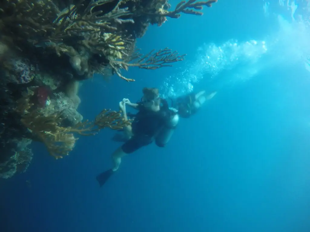 Discover Scuba Diving group tour in North Bali