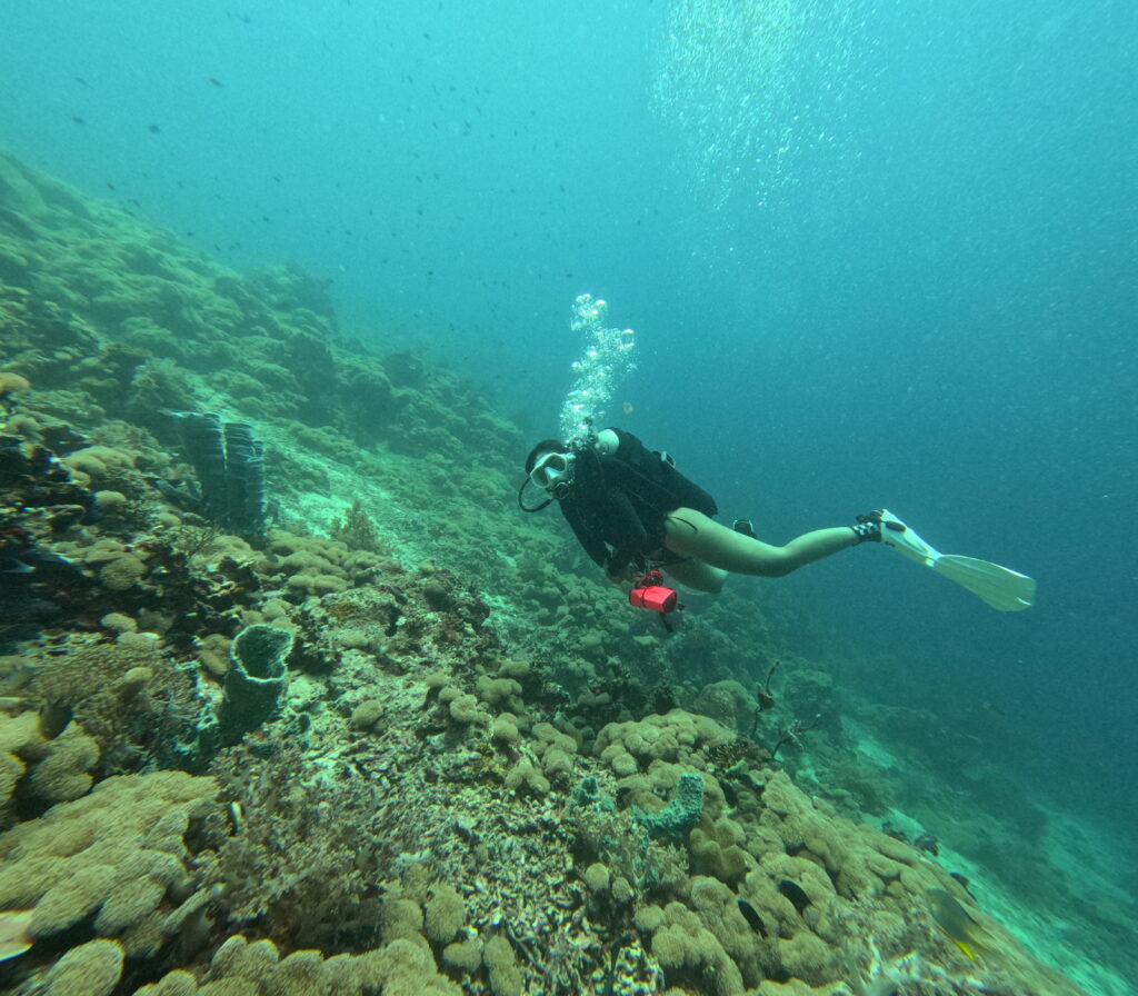 Scuba diving training in Menjangan Island