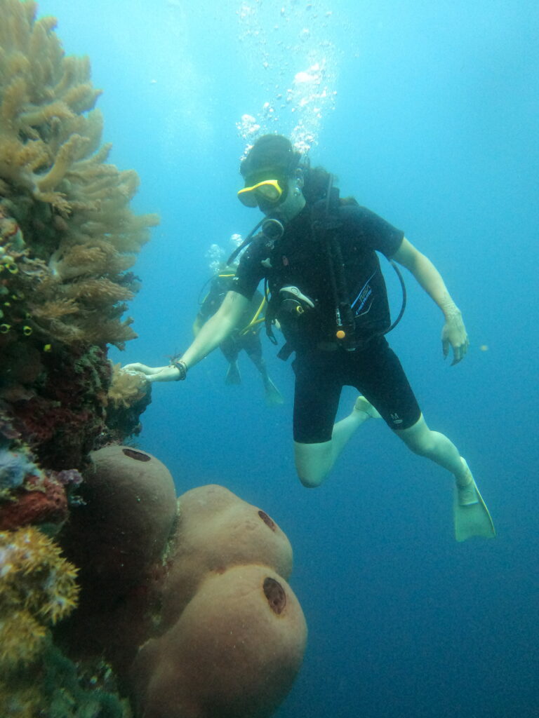 Student training underwater during Bali PADI Open Water course at Lovina Reef