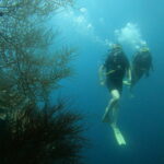 PADI Advanced Open Water 3 Group dive session at Tulamben shipwreck