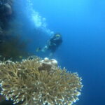 PADI Advanced Open Water 2 Exploring Tulamben’s Liberty shipwreck during PADI course