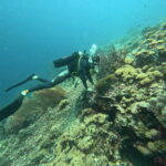 PADI Advanced Open Water 10 nice dive in North Bali with Sunrise Dive Bali