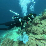 PADI Advanced Open Water 9 Group of divers entering the water in North Bali