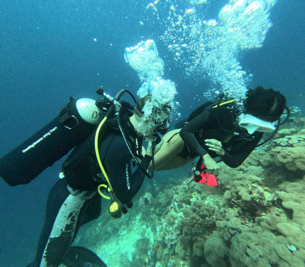 Dive Courses 6 Professional Dive Guides Sunrise Dive Bali