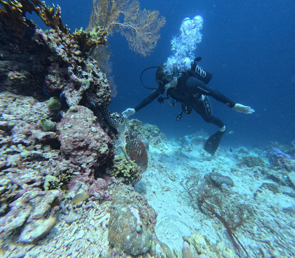 Discover why North Bali is a diver's paradise – vibrant coral reefs, clear waters, and unique marine life